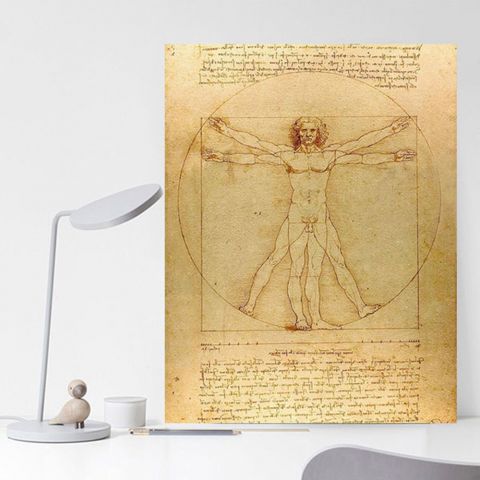 Leonardo Da Vinci Vitruvian Man